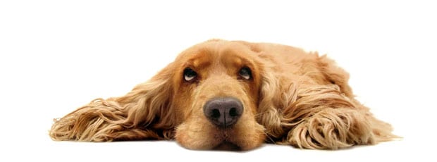 #003: Fünf Mittel gegen Aufschieberitis