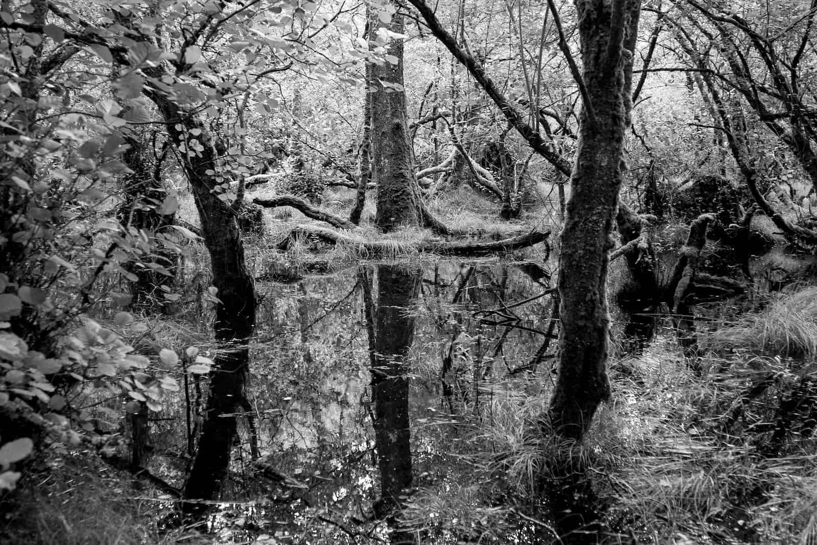 Die bekanntesten Zeitmanagement-Methoden und wie du sie einsetzt