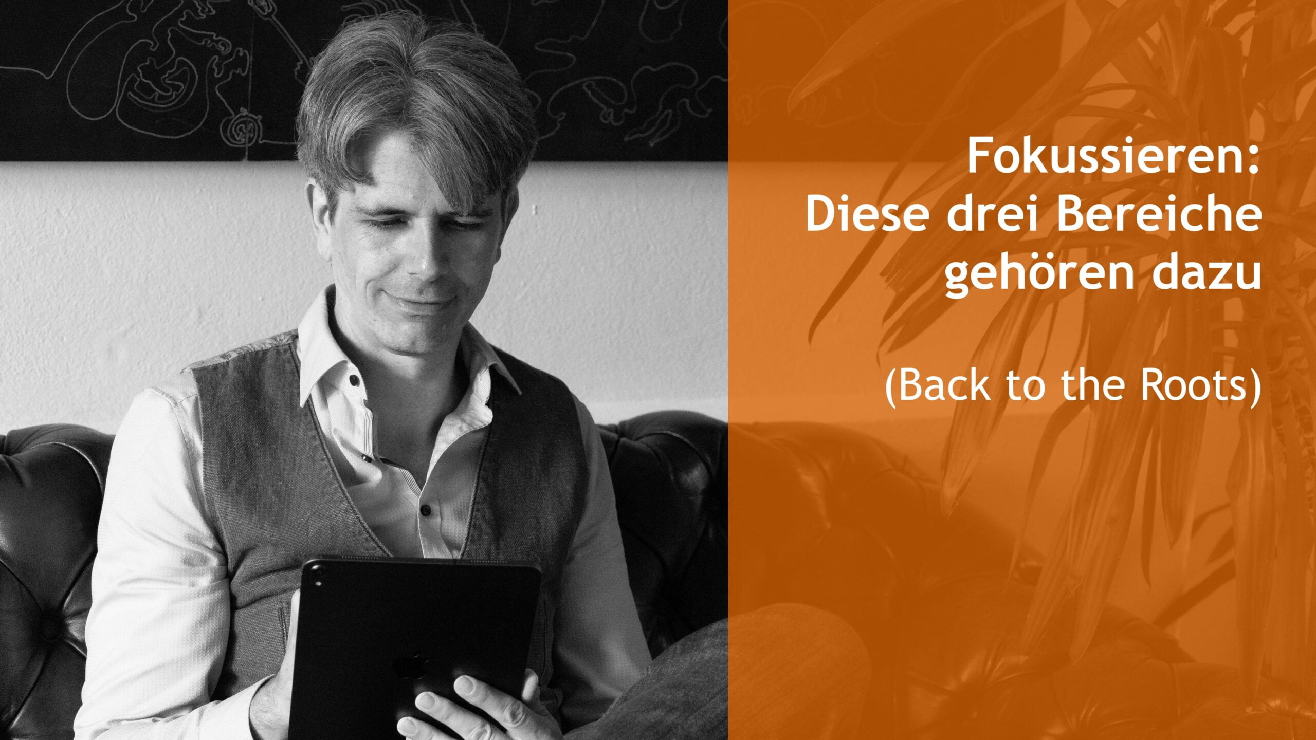 Fokussieren: Diese drei Bereiche gehören dazu (Back to the Roots)