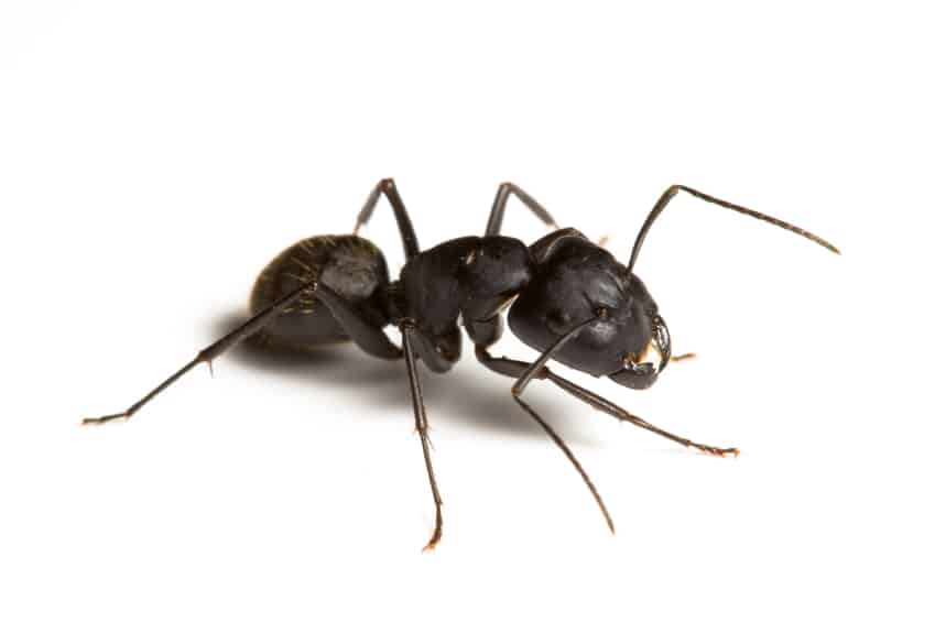 Helferlein für den Alltag: So werden Sie noch produktiver