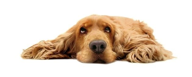 Eine kurze Frage zur Wochenmitte