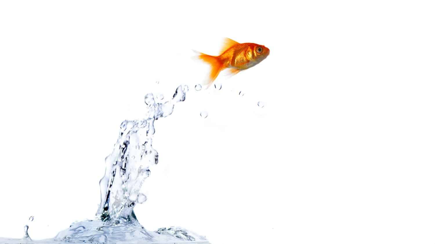 Power pur: 43 Dinge, die Ihnen neuen Schwung verleihen