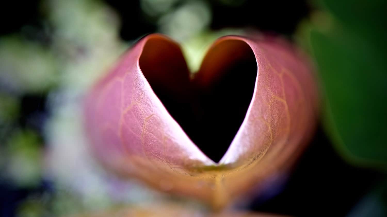 #110: Eine Alternative zur To-do-Liste