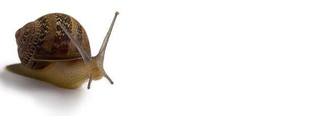 Zeitmanagement und Till Eulenspiegel. Oder: Hetze ist die Feindin der Schnelligkeit