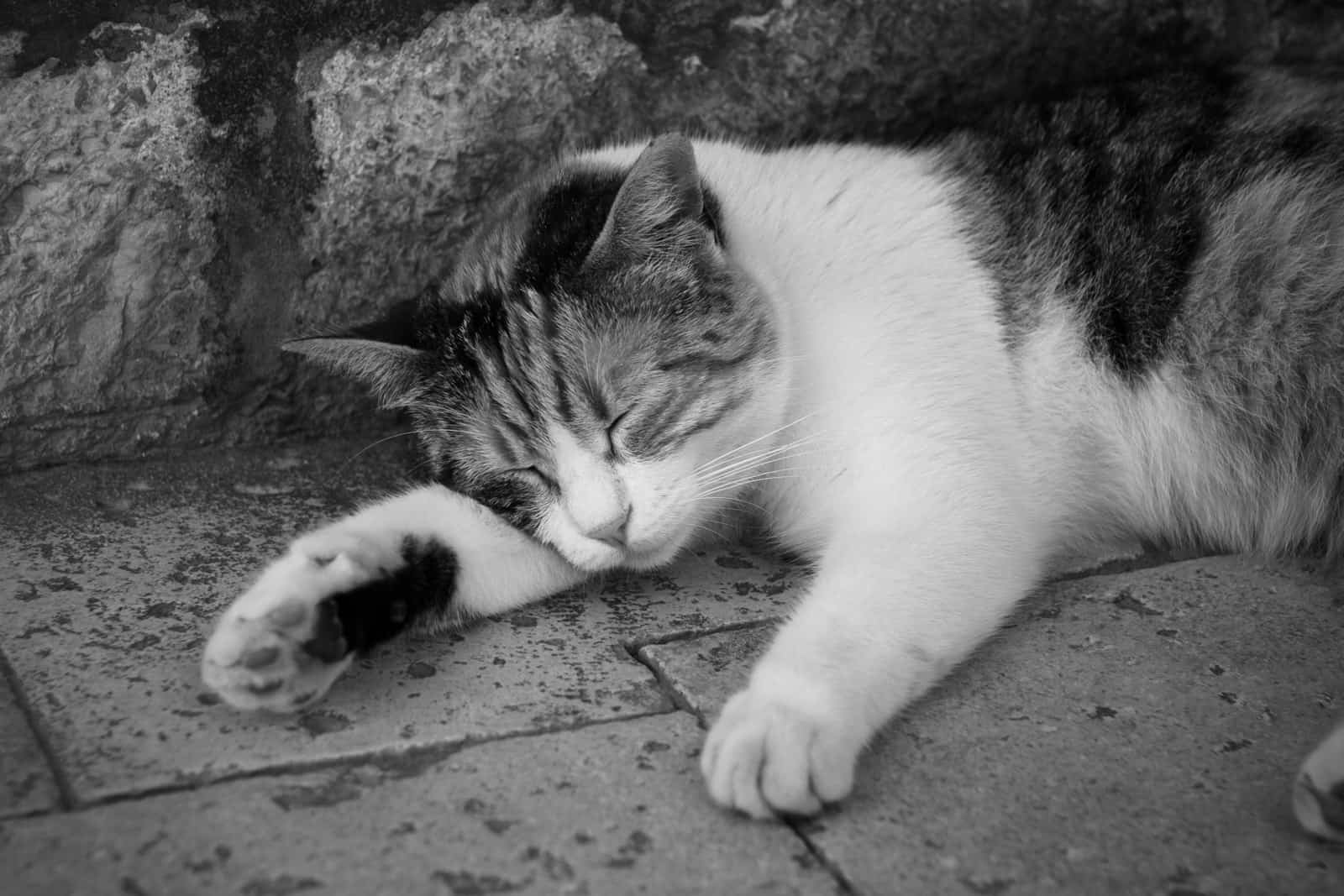 Der Schlaf der Produktiven