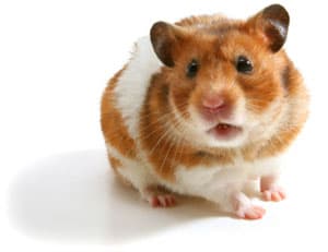 So schaffen Sie sich Zeit für die wichtigen Aufgaben